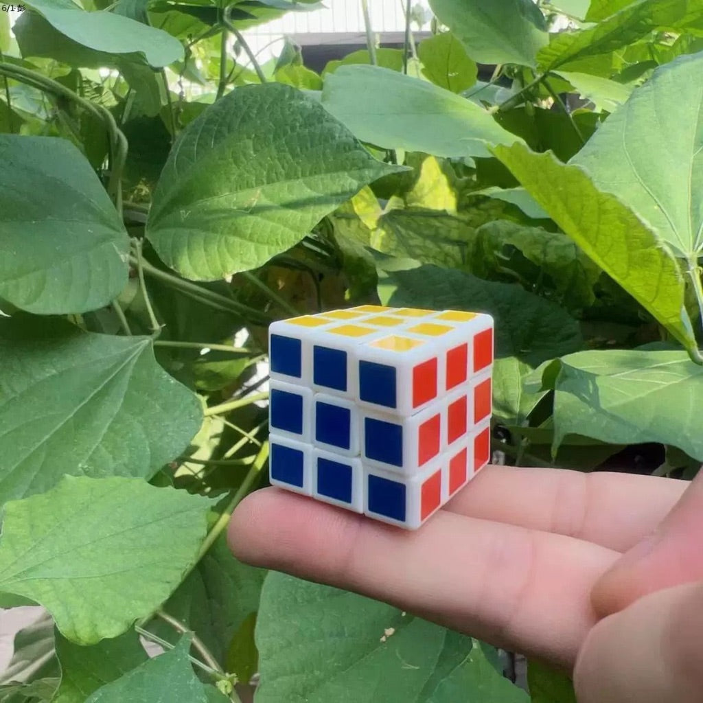 All A Plus MAGIC CUBE SMALL